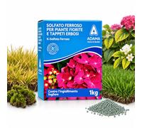 NATUREPRO - ADAMA K-SOLFATO FERROSO ANTIMUSCHIO E ANTINGIALLIMENTO PRATO | E PIANTE FIORITE, FORMULATO BIOLOGICO CONTRO INGIALLIMENTI FOGLIARI, INTENSIFICA IL COLORE DI FIORI E TAPPETI ERBOSI