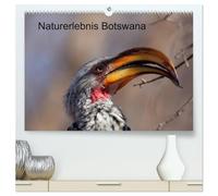 Naturerlebnis Botswana (hochwertiger Premium Wandkalender 2026 DIN A2 quer), Kunstdruck in Hochglanz: Eindrücke aus dem Chobe Park und dem Okavango Delta