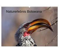 Naturerlebnis Botswana (Wandkalender 2026 DIN A2 quer), CALVENDO Monatskalender: Eindrücke aus dem Chobe Park und dem Okavango Delta