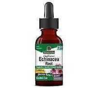 Nature's Answer, radice di echinacea (coneflower), senza alcol, 1000 mg