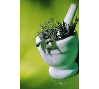 Nature's Pharmacy: Herbal Remedies for Everyday Health: A Complete Guide to Natural Solutions for Common Illnesses