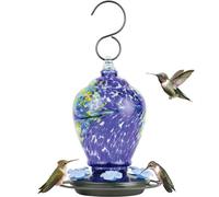 Nature's Way Bird Products AGF2 Spring Rain - Mangiatoia per colibrì, soffiata a mano, 793,8 g