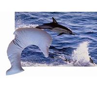 NaturGut Farro cuscino vibrante Delfin con riso chiusura