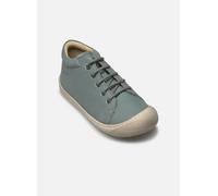 Naturino - Cocoon Blu - Scarpe con lacci 27 Blu