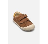 Naturino - COCOON LOW 3 VL Marrone - Sneakers 21 Marrone