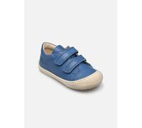 Naturino - Cocoon Low VL Blu - Sneakers 21 Blu