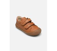 Naturino - Cocoon Low VL Marrone - Sneakers 25 Marrone