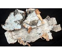 Naturix24 - Corteccia di betulla completa, 1 kg