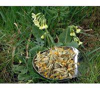 Naturix24 - Fiore portachiavi tutto - 1 sacchetto Kg