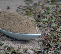 Naturix24 - Foglie di mirtillo macinate, 250 g