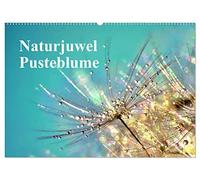 Naturjuwel Pusteblume (Wandkalender 2026 DIN A2 quer), CALVENDO Monatskalender: Ein außergewöhnlicher Wandkalender mit wundervollen Makro-Fotografien der Pusteblume