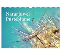 Naturjuwel Pusteblume (Wandkalender 2026 DIN A3 quer), CALVENDO Monatskalender: Ein außergewöhnlicher Wandkalender mit wundervollen Makro-Fotografien der Pusteblume