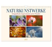 Naturkunstwerke (Wandkalender 2027 DIN A4 quer), CALVENDO Monatskalender