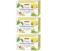 NATURPLUS Tisana Limone e Zenzero 3x30 g Polvere per soluzione orale