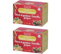 Naturplus Tisana Profumo D´Inverno 2x30 g