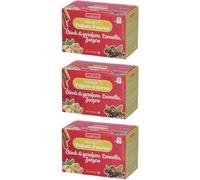 Naturplus Tisana Profumo D´Inverno 3x30 g