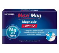 Dr Theiss Maxi Mag Express Stick 28 g Polvere per soluzione orale
