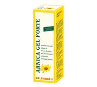DR THEISS ARNICA GEL FTE 100