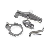 NATWEE Compatibile con per Mt09 per Sp 2021 2022 2023 2024 Stabilizza Il Controllo del Supporto Dell'ammortizzatore dello Sterzo della Motocicletta Barre stabilizzatrici Moto(Gray Bracket)