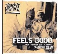 Naughty By Nature Ft 3Lw - Naughty By Nature Ft 3Lw / Feels Good (Don't Worry Bout A Thing)