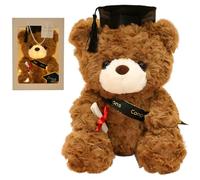 NAVESO Regali Per La Laurea, 23 Cm Orsetti Di Peluche Per La Laurea Con Biglietto Di Auguri, Sacchetto Regalo, Lucine Decorative, Regalo Laurea, Veleno Per Laurea