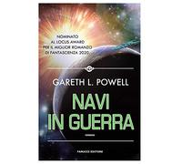 Navi in guerra