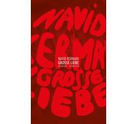 Navid Kermani Große Liebe: Roman (Copertina rigida)
