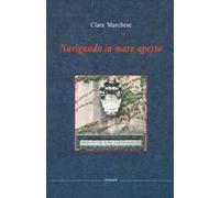 Navigando in mare aperto