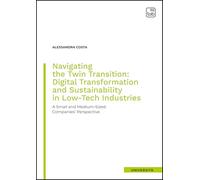Navigating the twin transition: digital transformation and sustainability in low-tech industries. A small and medium-sized companies' perspective