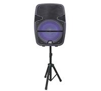 Naxa Electronics NDS-1516 Altoparlante portatile Bluetooth Party con luce da discoteca e supporto, 38,1 cm, nero