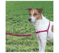 Nayeco Imbracatura Anti-Pull Red L