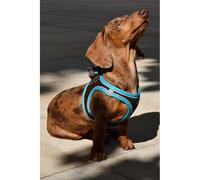 Nayeco Pettorina X-TRM marrone e blu per cani XXS