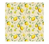 TOVAGLIATO IN PVC FANTASTIK C96-1 Rotolo cm.140 (H) x 20 mt (L)