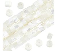 NBEADS 352pz Natural Trochid Shell/Trochus Shell Beads, 3.5~4mm Perle di Perle d'Acqua Dolce A Colonna Naturale per Artigianato Fai-da-Te Che Fanno Gioielli, Bracciali, Collane, Orecchini, Bianco