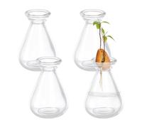 NBEADS 4 pz di Vasi per La Germinazione Dei Semi di Avocado, Vasi In Vetro Trasparente per La Germinazione di Piante In Vaso per La Coltivazione Avocado Semi Ghiande Erbe Aromatiche Piante Da Interno