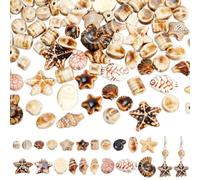 NBEADS 80 Pz 20 Stili Perline in Ceramica Conchiglie Conche Stelle di Mare Perle di Pesce Elementi Decorativi per la Creazione di Gioielli Braccialetti Collane, Colore Misto