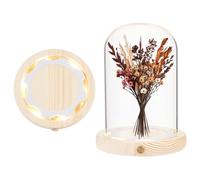 NBEADS Campana A Cupola In Vetro con Base Luminosa A LED, Cupola di Vetro Ad Alta Trasparenza per Esposizione di Fiori Eterni per Centrotavola, Piante Esemplari, Decorazioni, 125.5x170mm, Arco