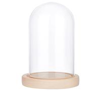 NBEADS Campana a cupola in vetro con fiori eterni, rosa eterna sotto campana, fiore eterno cupola in vetro, confezione regalo biglietto di auguri per festa della mamma, San Valentino, Natale,