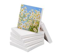 NBEADS Mini Tela, 6 Pezzi Mini Pannello da 10x10 cm 280GSM 100% Cotone Senza Acidi Tavola da Disegno per La Decorazione Artistica E Regali Artigianali Fai-da-Te