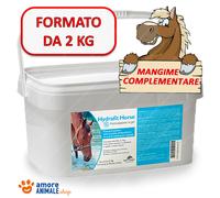 NBF Lanes Cavalli - Hydrafit Horse 40 Buste da 50 g - Supporto Sudorazione