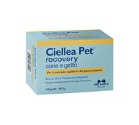 Ciellea Pet Recovery Cane E Gatto NBF Lanes 60 Perle