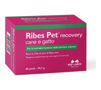 RIBES PET Recovery 60 Perle