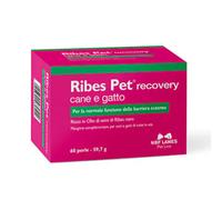 NBF Lanes Ribes Pet Recovery Supporto barriera cutanea Compresse per cani e gatti 60 Perle - Integratori per cani - 1° ORDINE? scegli lo sconto BZR5 / BZR20 + 200 punti fedeltà