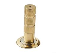 NbgrvB Fermaporta Invisibile Lega Zinco Regolabile 5-14mm(Gold)