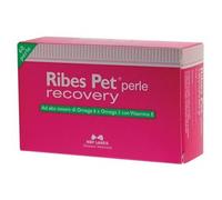 RIBES PET Recovery 60 Perle