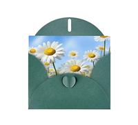 NBSKSDLK Biglietti di auguri con margherite primaverili, per tutte le occasioni, biglietti vuoti con buste, biglietto di compleanno pop-up cartoline di ringraziamento personalizzato, 10,2 x 15,2 cm