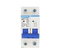 NBT1-63 Interruttore automatico miniaturizzato tipo C a 2 poli 6A 10A 16A 20A 32A 40A 50A 63A 400V Montaggio su guida DIN da 35 mm Capacità di interruzione 6KA(6 Years)