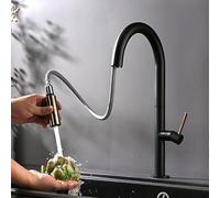 NBYGSC Rubinetti, Ottone con spruzzatore, lavandino Singolo abbattimento del Rubinetto della Cucina a Doppia Funzione per kitch