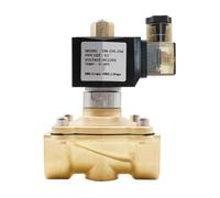 NCCNATMHP 1 valvola solenoide normalmente Aperta in Ottone, da G3/8" a G2, AC220V DC12V 24V(AC 220V)