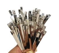 Ncheli 100 pezzi fascette stringicavo in acciaio inox, 10 cm, A2, antiruggine, autobloccanti, per scarico, auto, giardino, forte tenuta, 100 mm di lunghezza, 4,6 mm di larghezza(10 * 4.6)